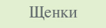 Р©РµРЅРєРё